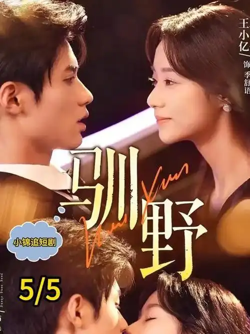 十二楼 97视频免费观看